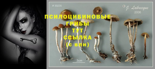 мескалин Нязепетровск
